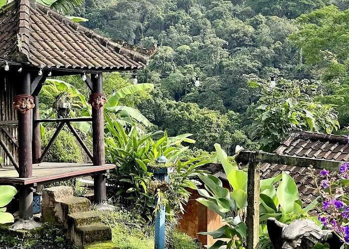 Backpackers With Mountain View *