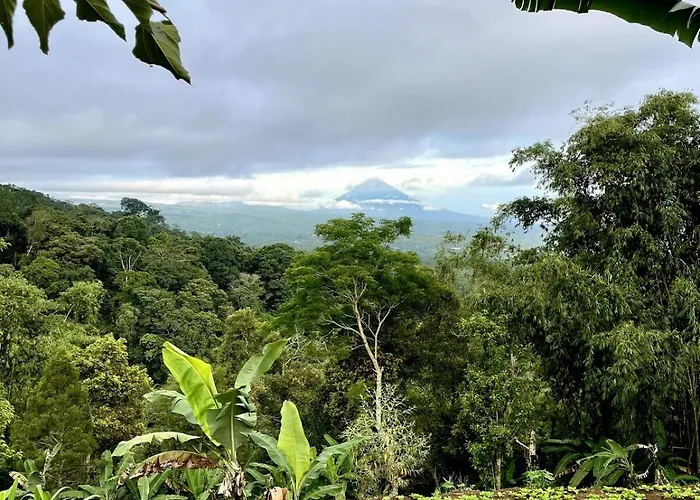 Backpackers With Mountain View *