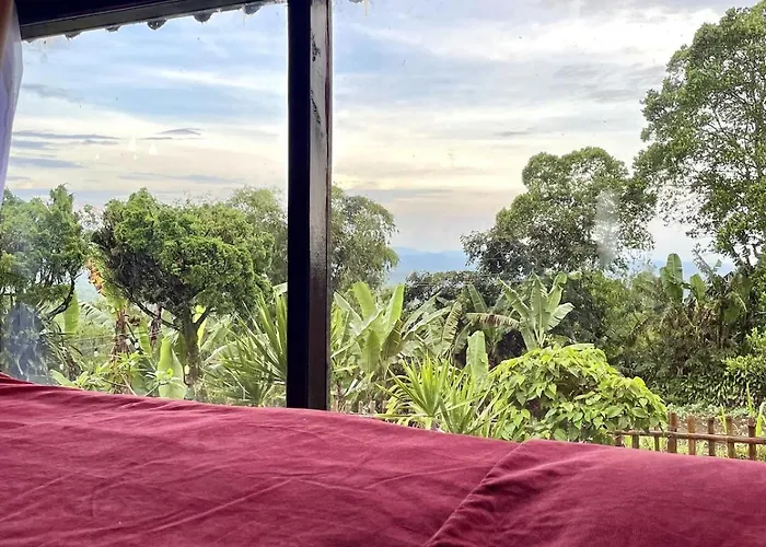 Backpackers With Mountain View